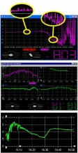 EFM-100 Monitor de Campo Eltrico 