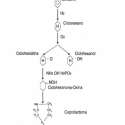 Caracterizao do risco de  exposio a benzeno e ciclo-hexano em atividades de manuteno 