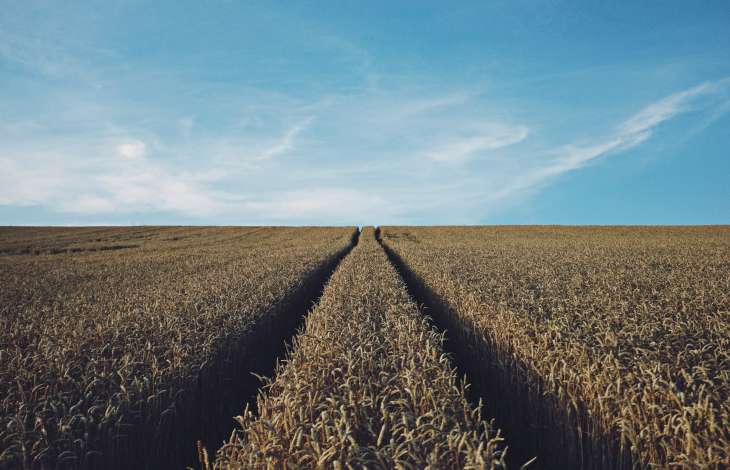 Agricultura Inteligente: Como funciona e qual sua importncia?