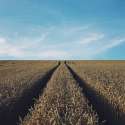 Agricultura Inteligente: Como funciona e qual sua importncia?