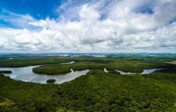 Desmatamento está afetando recursos hídricos na Amazônia