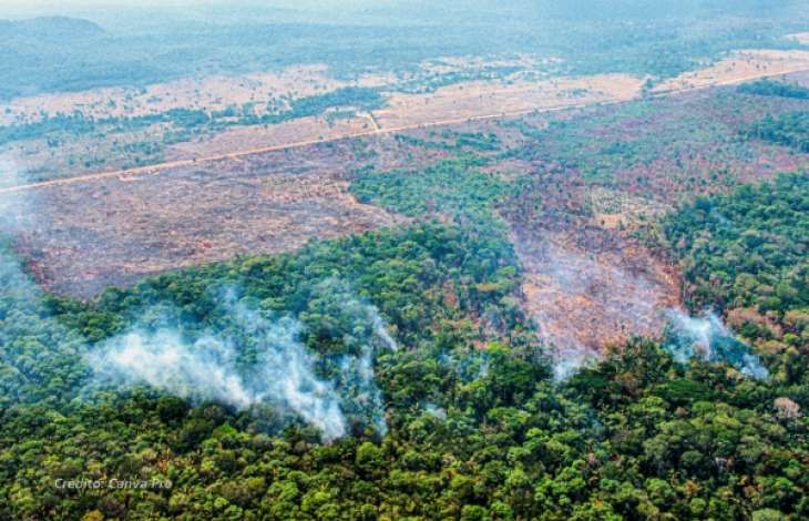 Alerta Climtico na Amaznia