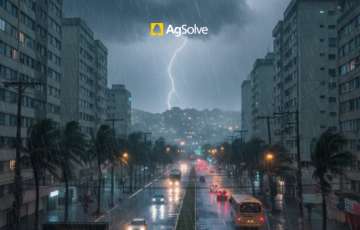 Mudan�as clim�ticas no Brasil: por que chuvas extremas, raios e ventos fortes est�o se tornando mais frequentes?