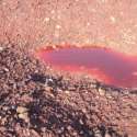 Tecnologias para reas contaminadas