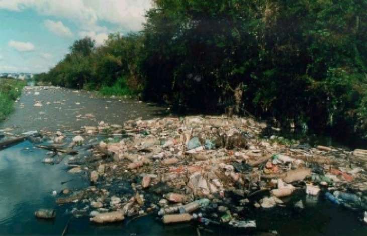 gua: essencial e contaminada
