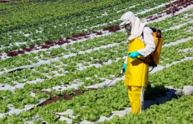 Agrotxicos e a poluio das guas